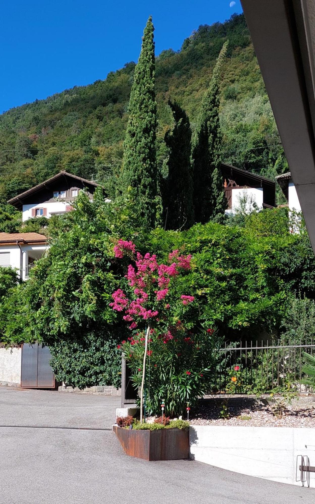 Marlingsuites - Vinea - Wieser Josef - Marling Exteriér fotografie