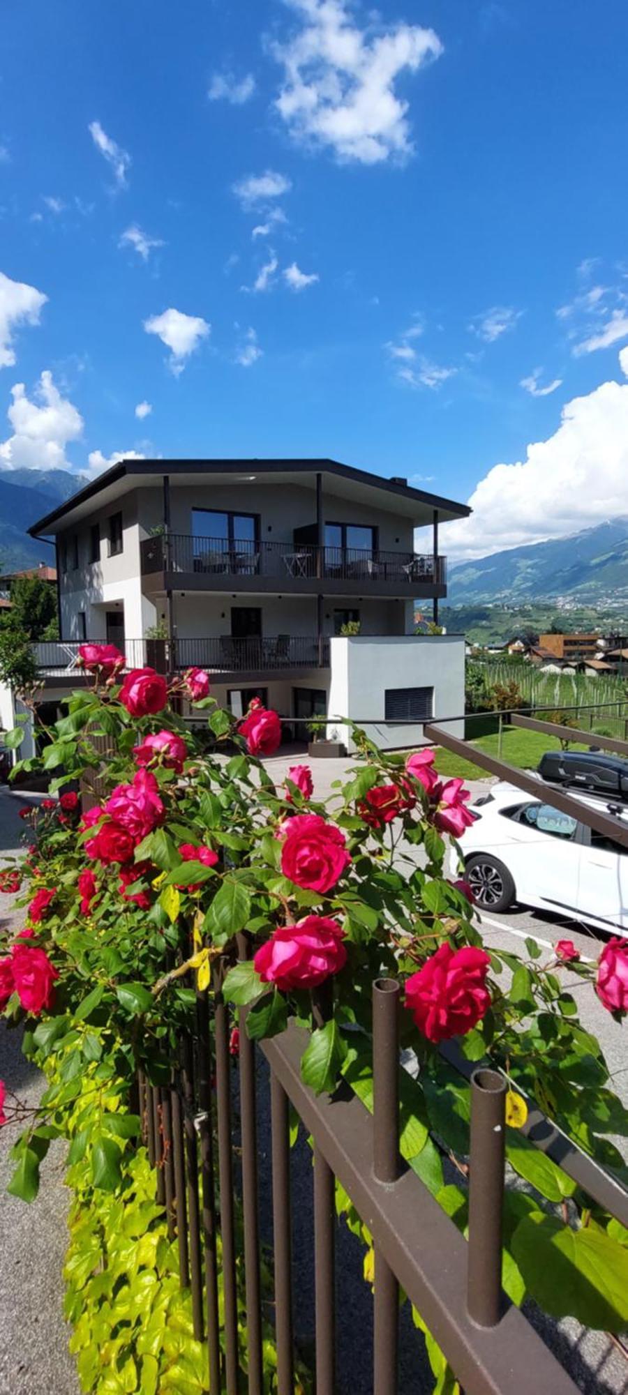Marlingsuites - Vinea - Wieser Josef - Marling Exteriér fotografie