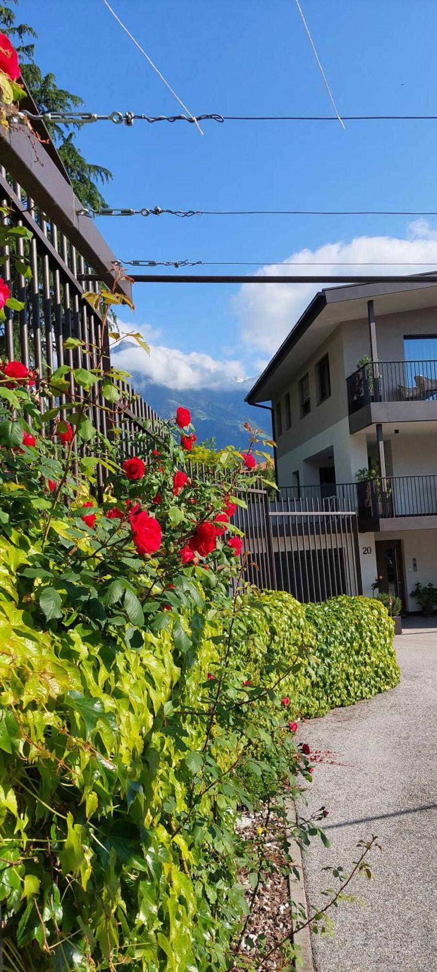 Marlingsuites - Vinea - Wieser Josef - Marling Exteriér fotografie